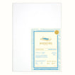 Premio Ready Cut Sheets Pack - Maesstría Papers