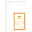 Maesstría Premio Ready Cut Sheets Pack - Maesstría Papers